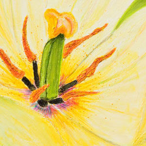 Acrylbild Blick in die Tulpe